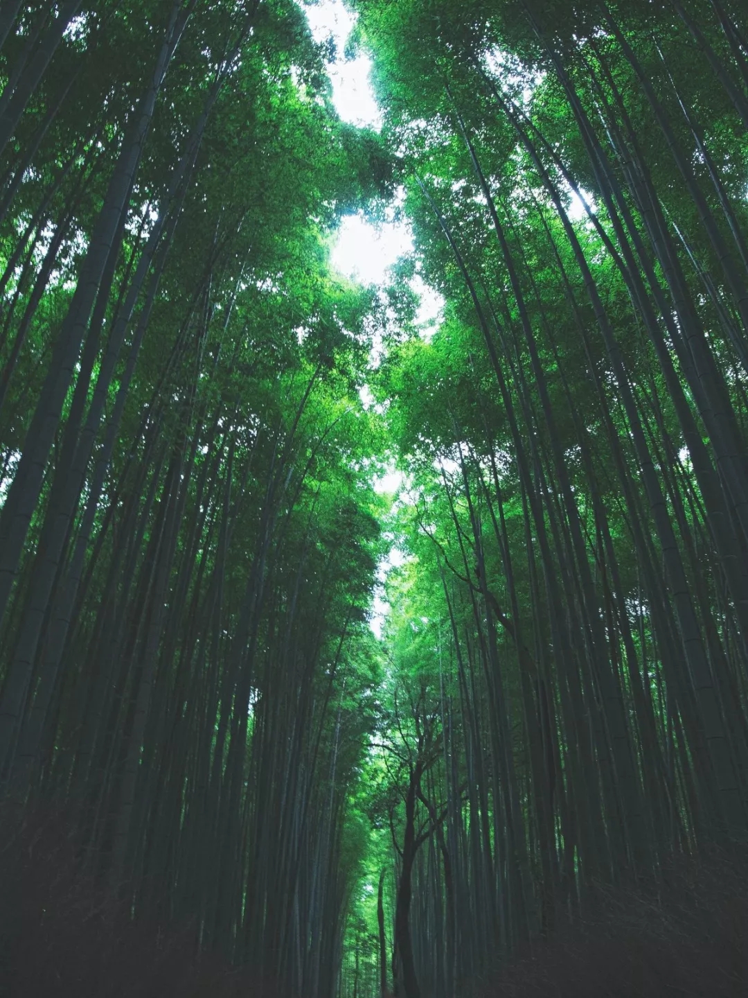 环保黑科技-12.webp