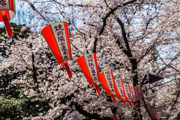 0880876dd6b812f7.jpg_r_720x480x95_8d9aedb7