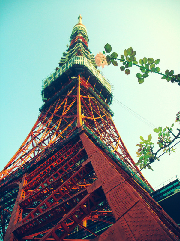 20120128204813_Fz3i3.thumb.600_0